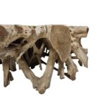 Coffee Table Teak Root INJ3010A3 Close Front