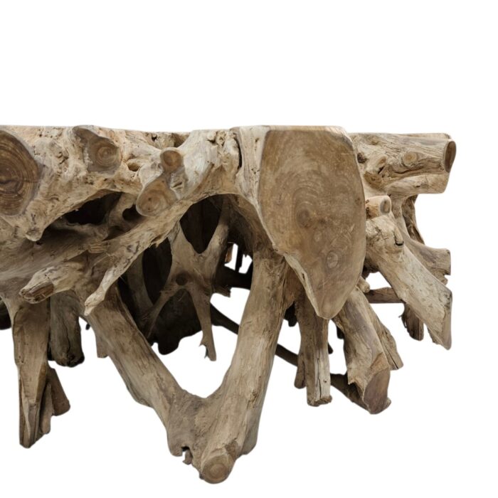 Coffee Table Teak Root INJ3010A3 Close Front