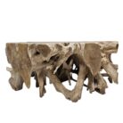 Coffee Table Teak Root INJ3010A3 Front