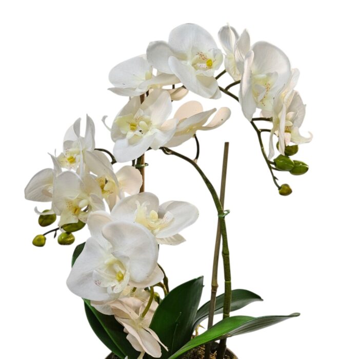 Faux White Orchid In Gold Pot Close
