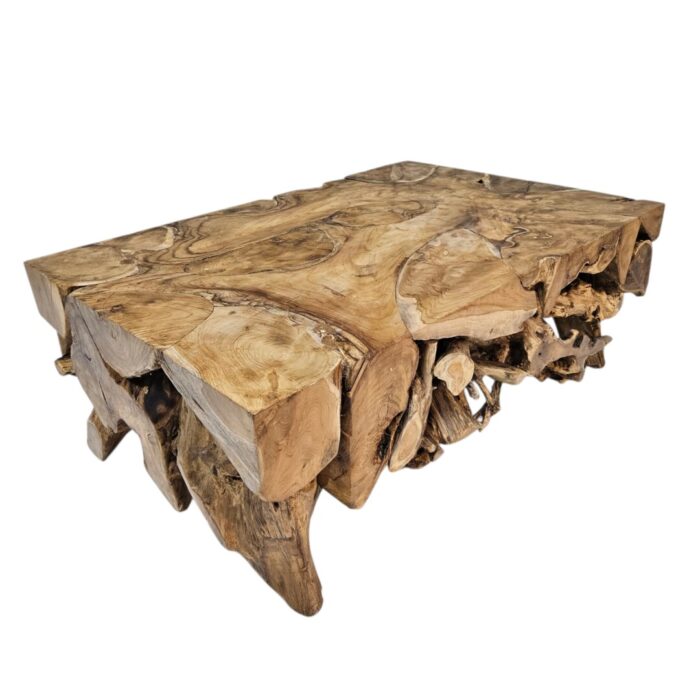 Puzzel Teak Root Coffee Table JAW5050E Side
