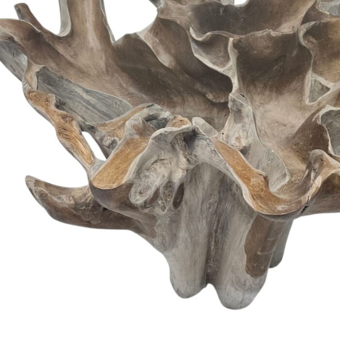 Root Dinig Table INJ0757A13 Close
