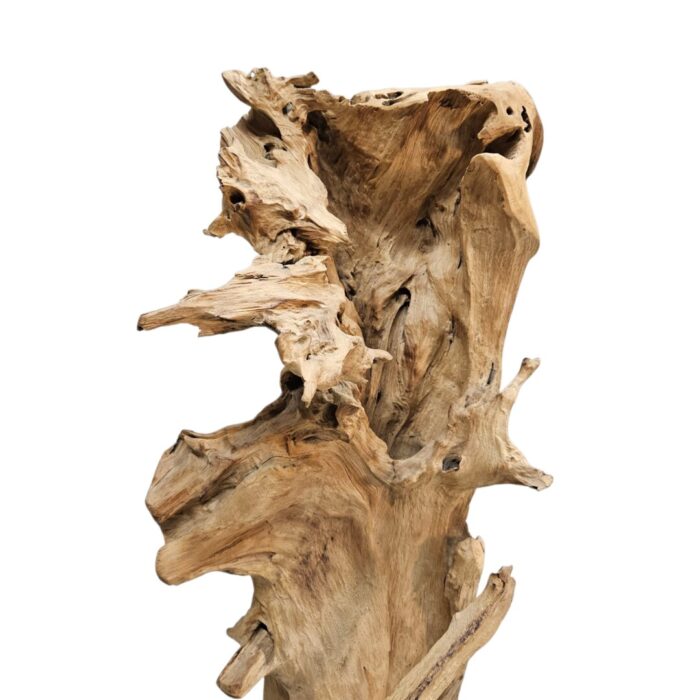 Abstrak Sculpture NJA6090 Teak Close