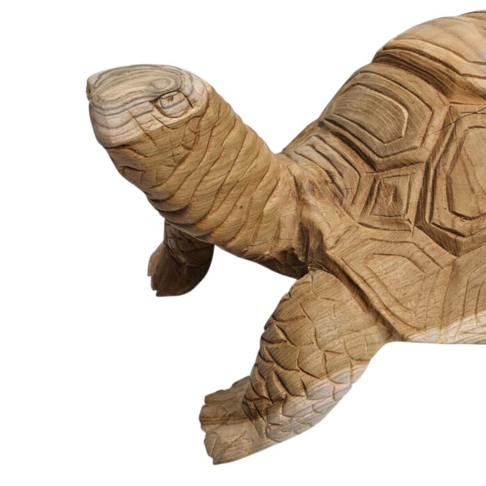 Carved Teak Tortoise Close