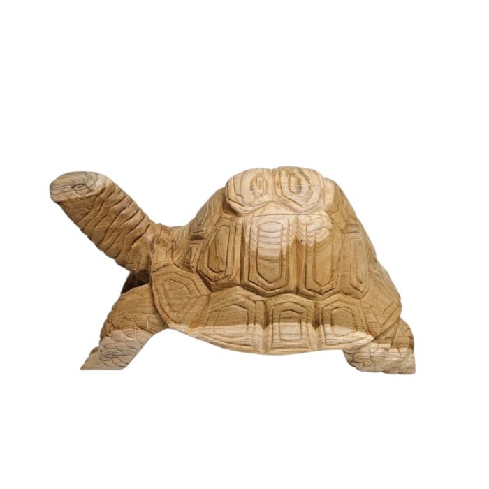 Carved Teak Tortoise Front
