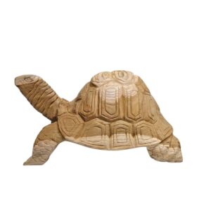 Teak Tortoise Sculpture