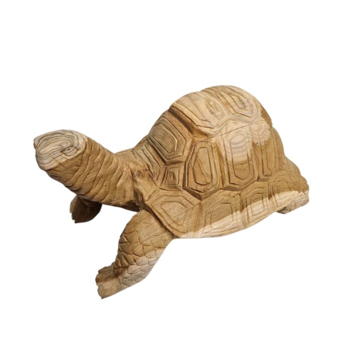 Carved Teak Tortoise Side