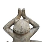 GRC Yoga Frog BUK9855 Close