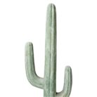 Light Green GRC Cactus 175cm Close