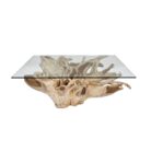 Root Rectangle Coffee Table INJ4755