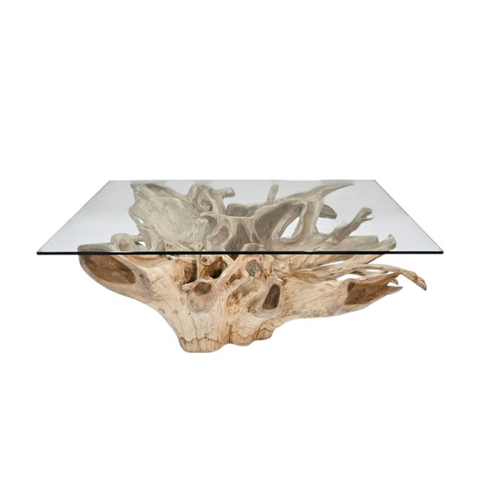 Root Rectangle Coffee Table INJ4755