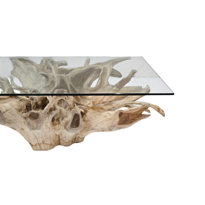 Root Rectangle Coffee Table INJ4755 Close