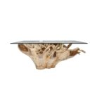 Root Rectangle Coffee Table INJ4755 Front