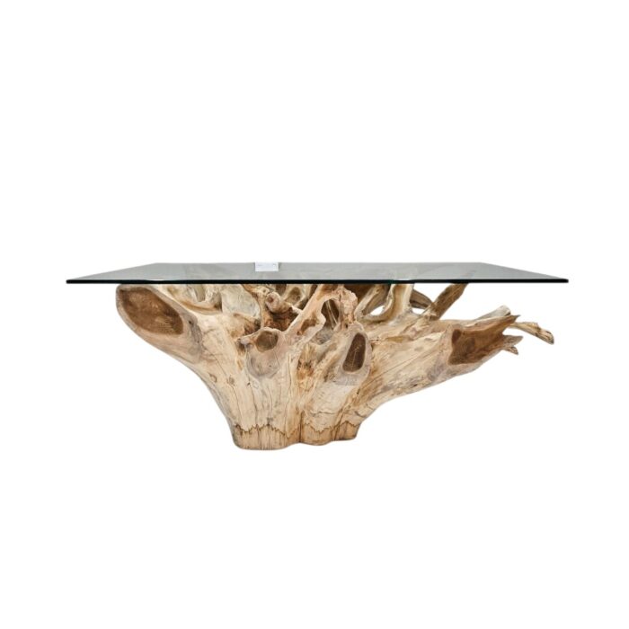 Root Rectangle Coffee Table INJ4755 Front