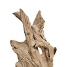 Root Sculpture NJA6066A Close
