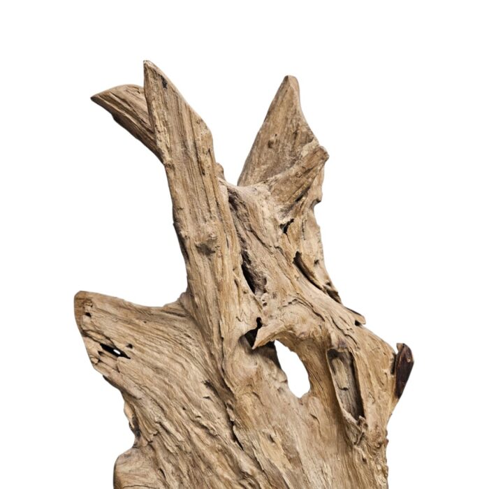 Root Sculpture NJA6066A Close
