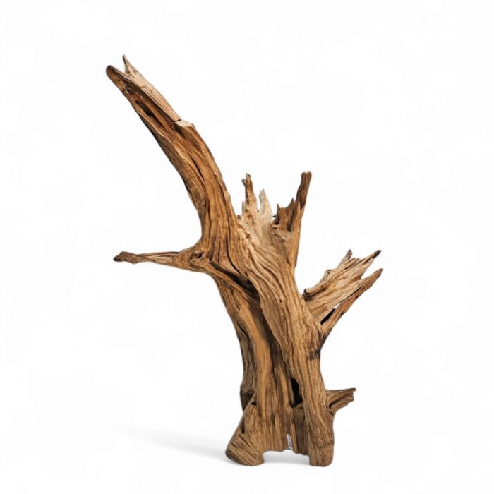 Root Sculpture NJA6068 Main Root Sculpture NJA6068 Main