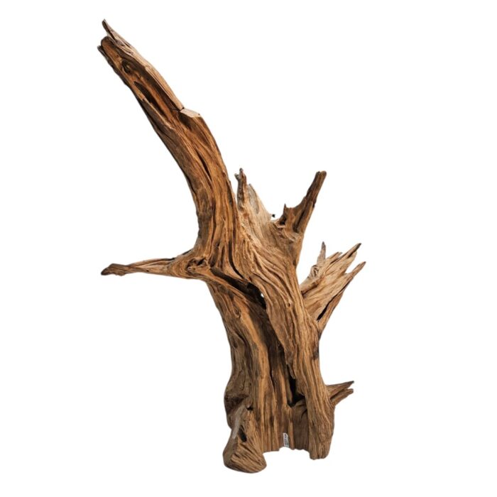 Root Sculpture NJA6068 Side Root Sculpture NJA6068 Side