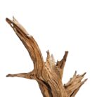 Root Sculpture NJA6068 Top