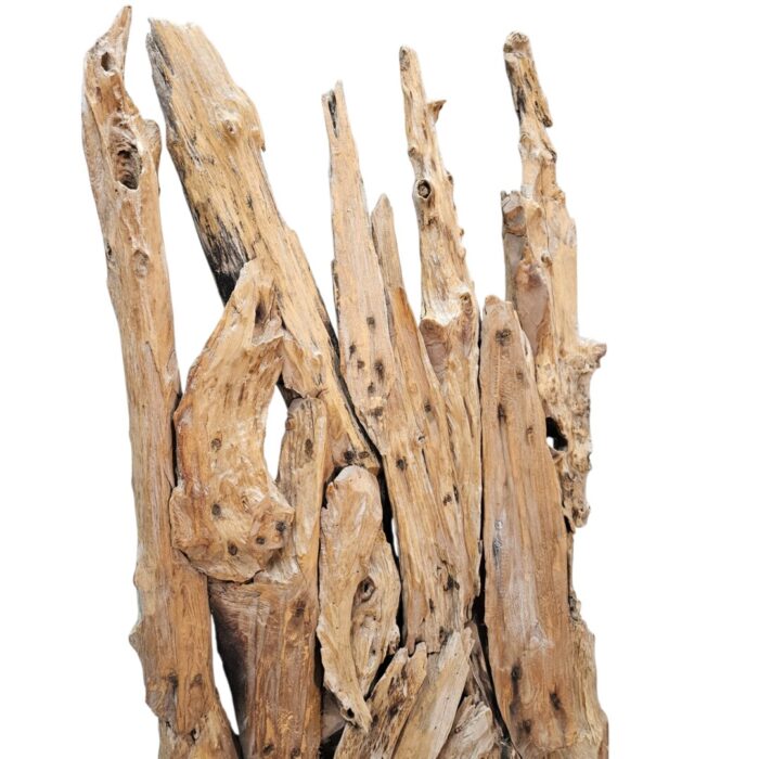 Root Sculpture NJA6069 Close
