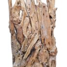 Root Sculpture NJA6069 Close UP