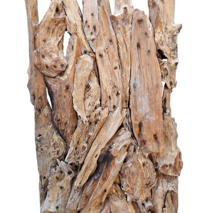 Root Sculpture NJA6069 Close UP
