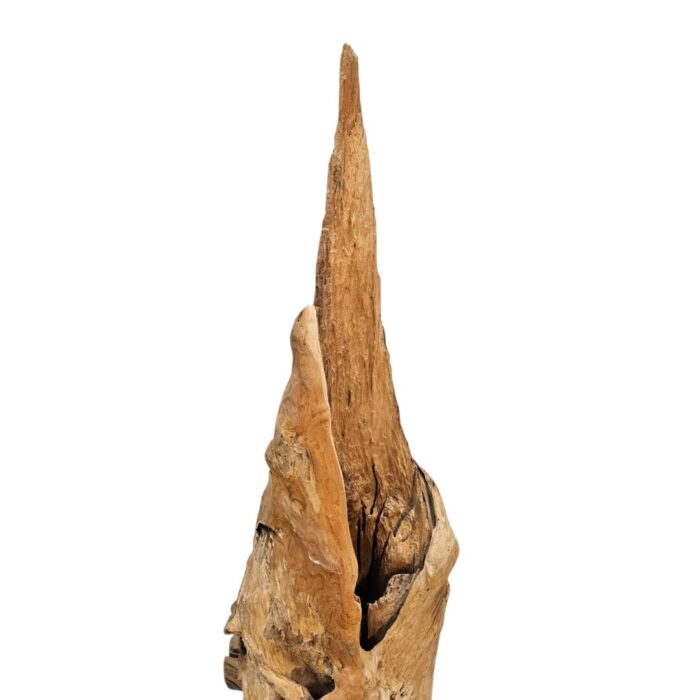 Root Sculpture NJA6073 Close Up