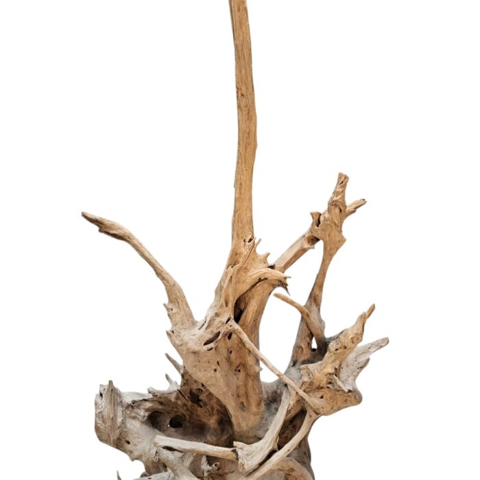 Teak Basuki Sculpture Main NJA9950B Close Up