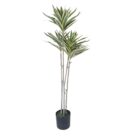 Bamboo Lilly Faux