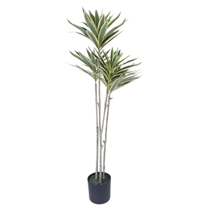 Bamboo Lilly Faux