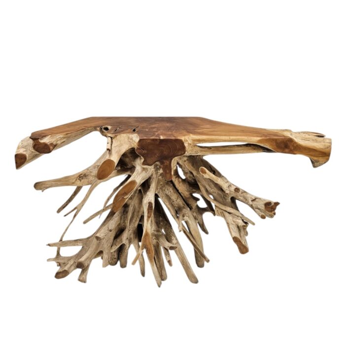 Erosi Root Console Table Main Top INJ5055A5
