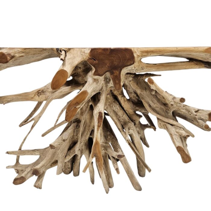 Erosi Root Console Table Main Top INJ5055A5 Close