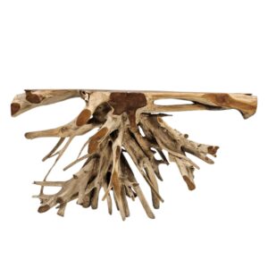 Burmese Teak Root Console Table