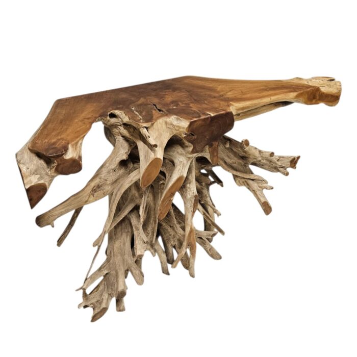 Erosi Root Console Table Main Top INJ5055A5 Side