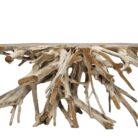 Erosi Root Console its INJ5058A8 Close