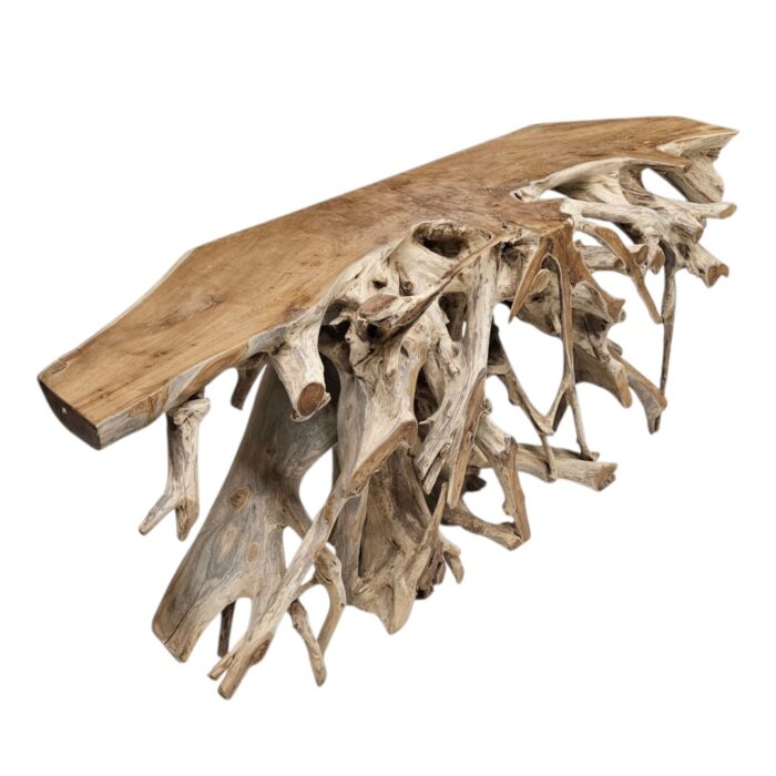 Erosi Root Console its INJ5058A8 Side