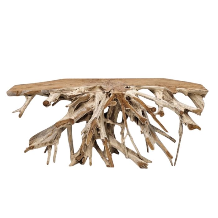 Erosi Root Console its INJ5058A8 Top