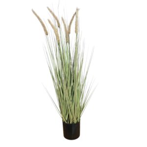 Faux Dogtail Grass