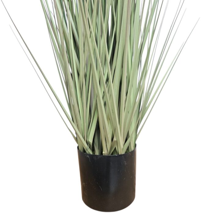 Faux Dogtail Grass Bottom