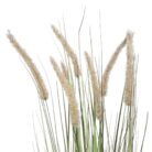 Faux Dogtail Grass Close