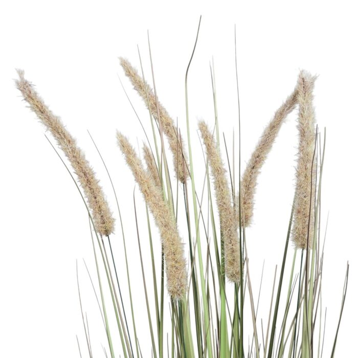 Faux Dogtail Grass Close