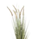 Faux Dogtail Grass Close Top