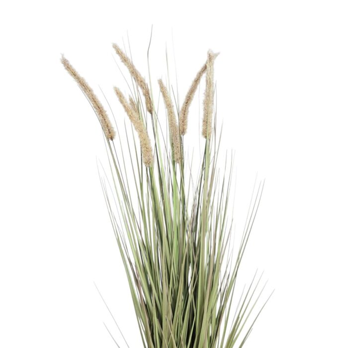 Faux Dogtail Grass Close Top