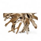 Root console erosi Teak INJ550A7 Main