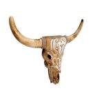 Tribal Skull Buffalo BEF0005SML Side