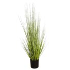Zabra Striped Grass PHG0002 Main
