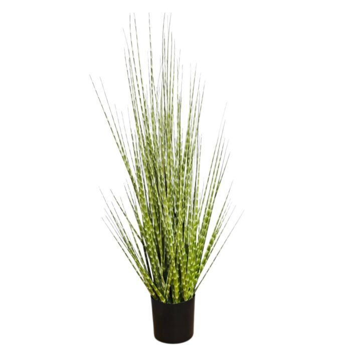 Zabra Striped Grass PHG0002 Main