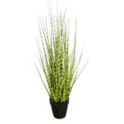 Zabra Striped Grass PHG0003 Main
