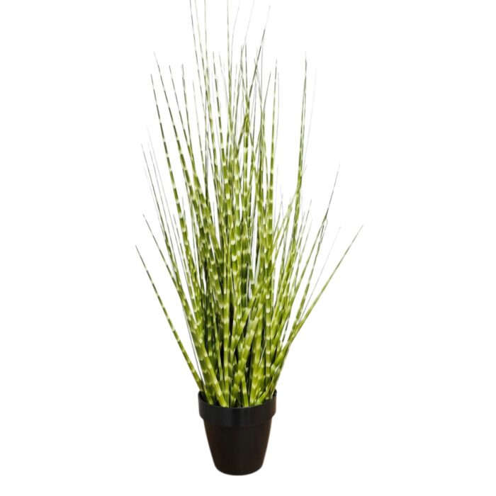 Zabra Striped Grass PHG0003 Main