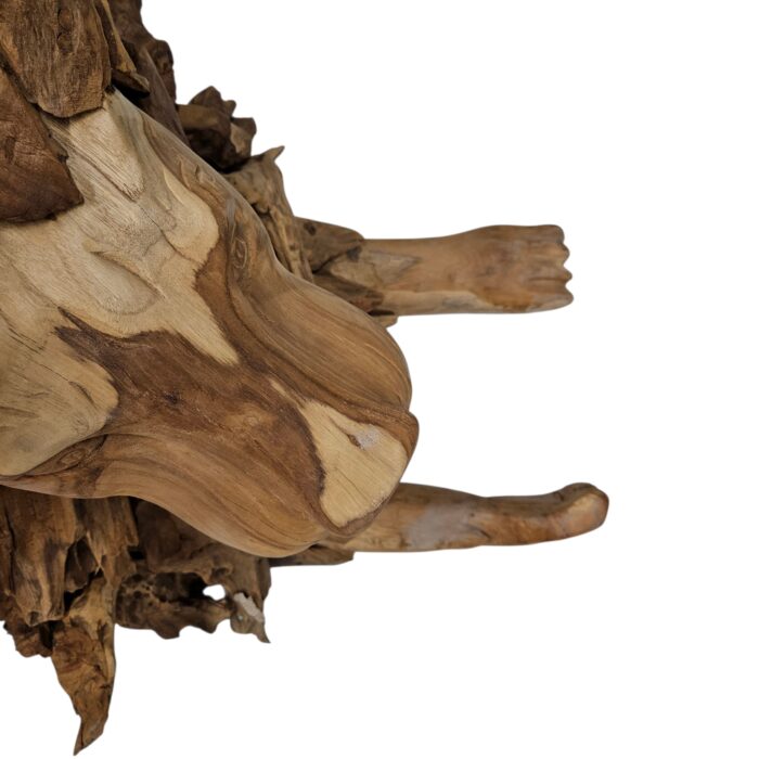 Teak Resting Lion Sculpture Close Up Top